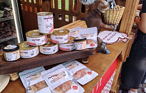 Дни Вологодской области в Санкт Петербурге 2025